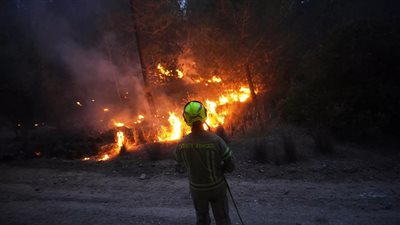 حرائق ضخمة تضرب إسرائيل: إخلاء مناطق سكنية وصعوبات في احتواء النيران