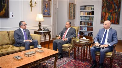 وزير الخارجية يستعرض مع العناني أبرز تطورات حملته الانتخابية لـ