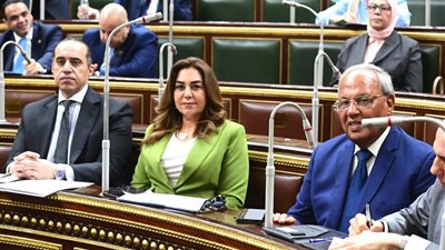 منال عوض: مركز المحاكاة المتكامل يعزز قدرات العاملين بالإدارة المحلية