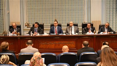 تشجيع الاستثمار الرياضي .. أبرز تعديلات شباب النواب على قانون الرياضة