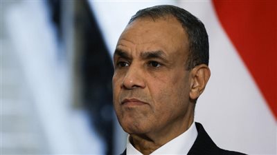 وزير الخارجية: نبذل جهودًا مع قطر وأمريكا للتوصل لوقف المجازر بغزة