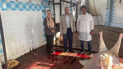 حملات بيطرية مكثفة بدمياط لمتابعة المجازر وضمان سلامة اللحوم