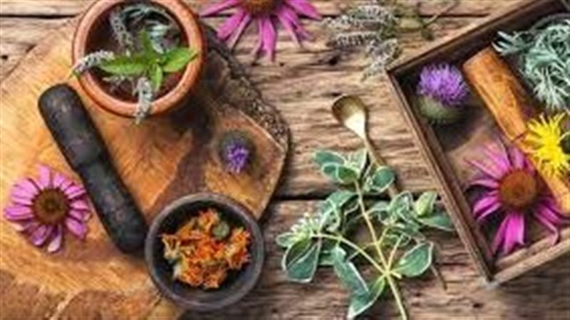 أفضل الأعشاب الطبيعية