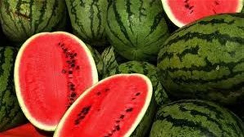 فوائد تناول البطيخ