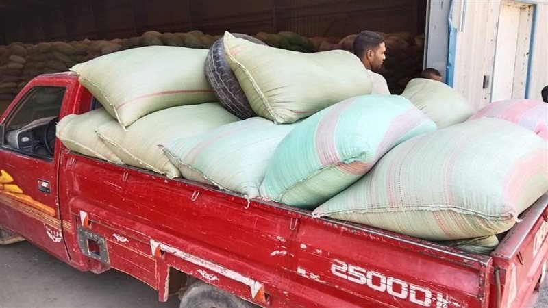توريد محصول القمح