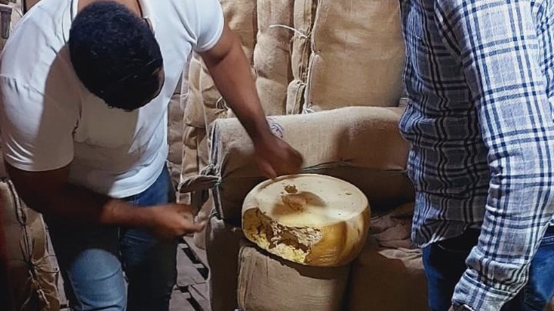 جانب من حملات هيئة