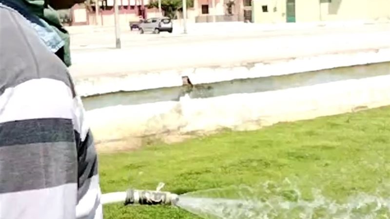 جانب من عمل عمال