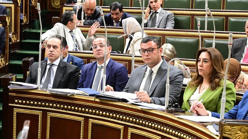 جانب من الجلسة 