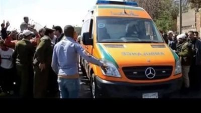 دماء على الطريق.. مصرع سائق نقل ونجله بحادث مأساوي بوادي النطرون