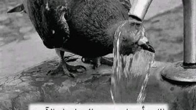 «اللهم خفف عنا حر هذا اليوم».. 20 دعاء يُقال وقت شدة الحرارة