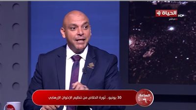 برلماني: ثورة 30 يونيو أفشلت مخطط هدم الدولة المصرية