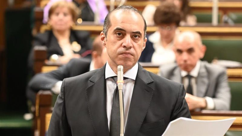 المستشار محمود فوزي