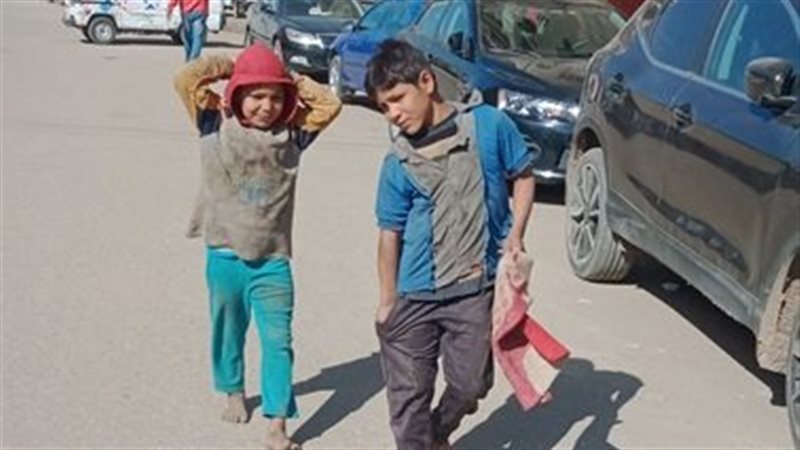 عمالة الاطفال بالقليوبية