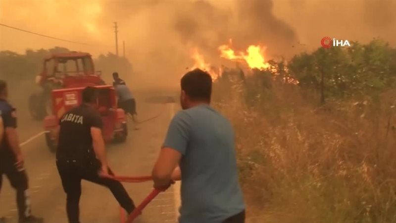 حرائق الغابات في