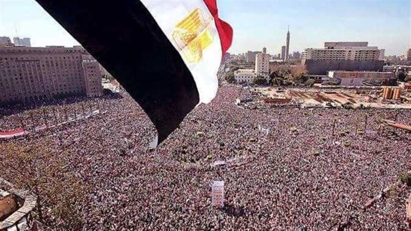 ارشيفية