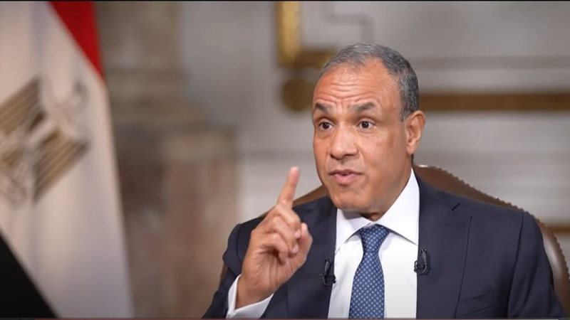 بدر عبد العاطي وزير