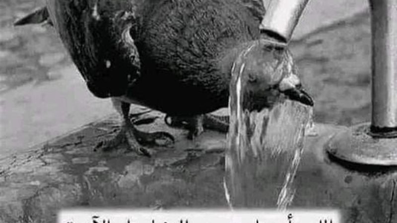 دعاء شدة الحر