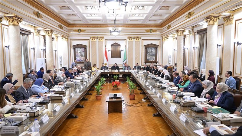 مجلس جامعة القاهرة