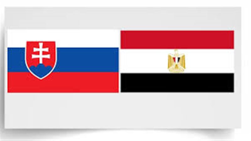 مصر والتشييك