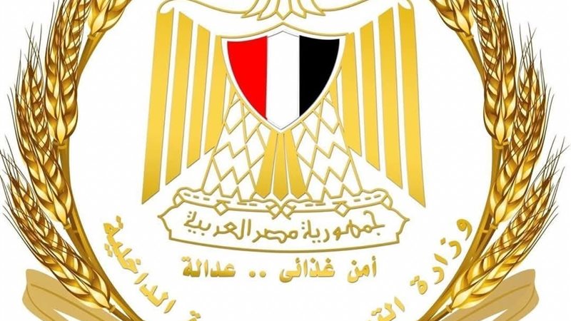 وزارة التموين والتجارة