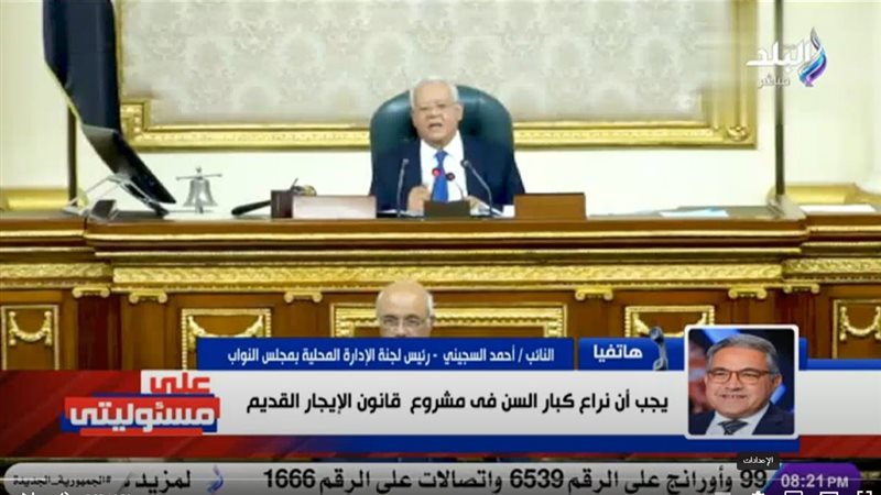 النائب أحمد السجيني