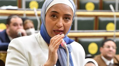  مخالف لأحكام «الدستورية».. «أبوشقة» تكشف أسباب رفضها لقانون الإيجار القديم