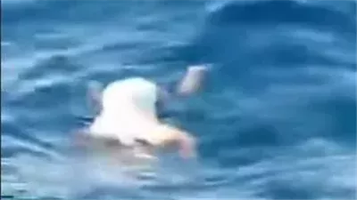 العثور على الطفلة مريم ميتة في البحر.. فيديو يثير جدلاً على مواقع التواصل