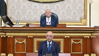 رئيس النواب يمازح الأعضاء فكرتونى بـ 