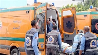 جامعة عين شمس عن طعن فرد أمن: المعتدية ليست مقيدة بالجامعة