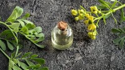 زيت الشذاب.. هل يحمل العلاج الطبيعي لمشاكل المفاصل؟