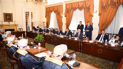 وزير الخارجية: مصر وسلطنة عمان يدعمان الموقف الثابت للقضية الفلسطينية