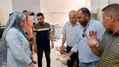 ضبط طن لحوم فاسدة داخل ثلاجة بطوخ وتشميعها.. واستمرار الحملات 