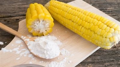 1.5 مليار طن إنتاج عالمي.. فرص ذهبية لتصدير نشا الذرة تنتظر التفعيل