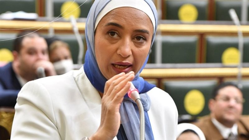النائبة أميرة أبوشقة
