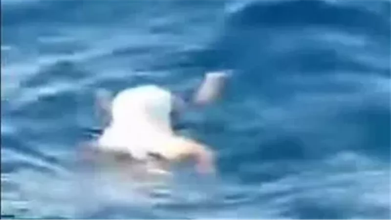 فيديو متداول للطفلة