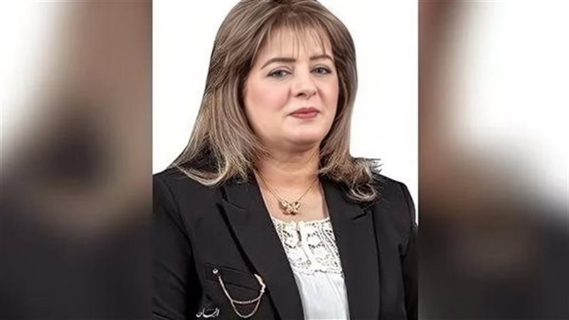 النائبة هناء أنيس