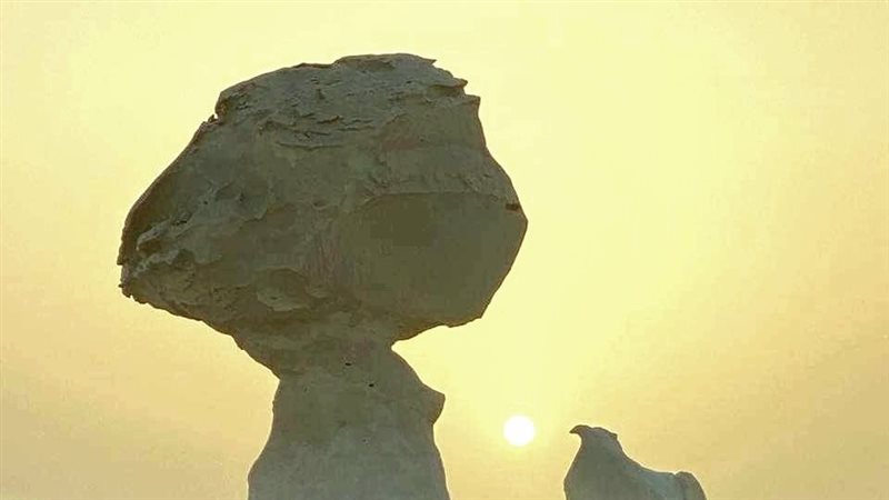 الوادي الجديد - ارشيفية