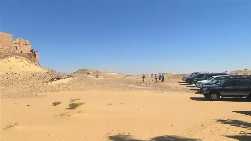 الوادي الجديد - ارشيفية