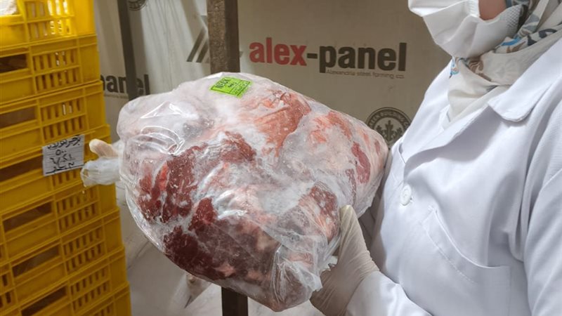 جانب من الحملة 