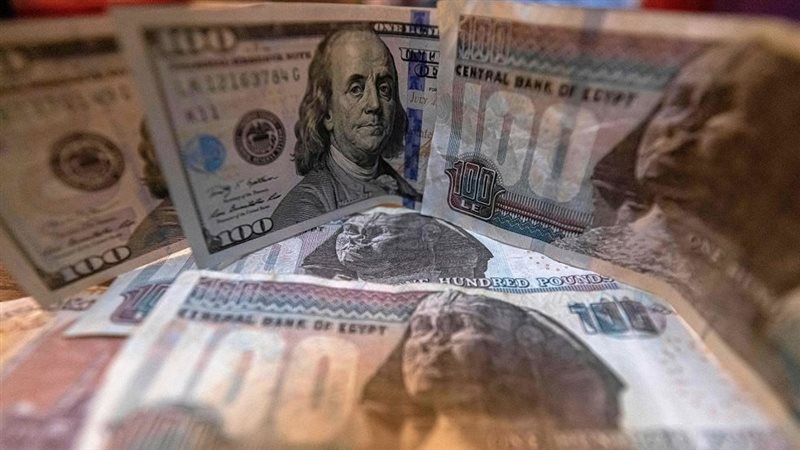 سعر الدولار اليوم