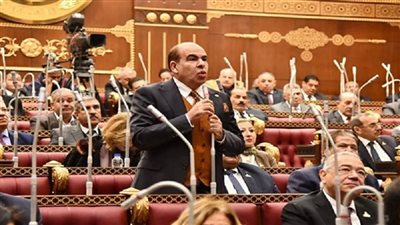 النائب ياسر الهضيبي يتقدم باستقالته من مجلس الشيوخ