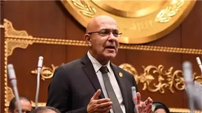 أحمد صبور: خفض سعر الفائدة يعكس نجاح الجهود المبذولة في السيطرة على التضخم