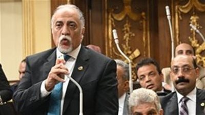 زعيم الأغلبية يشيد برئيس النواب.. ويعلن موافقة 