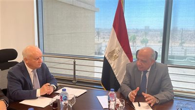 وزير الكهرباء يبحث مع «روسآتوم» تطورات مشروع محطة الضبعة النووية