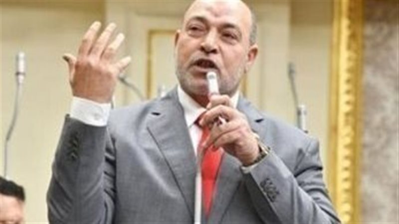حسن المير