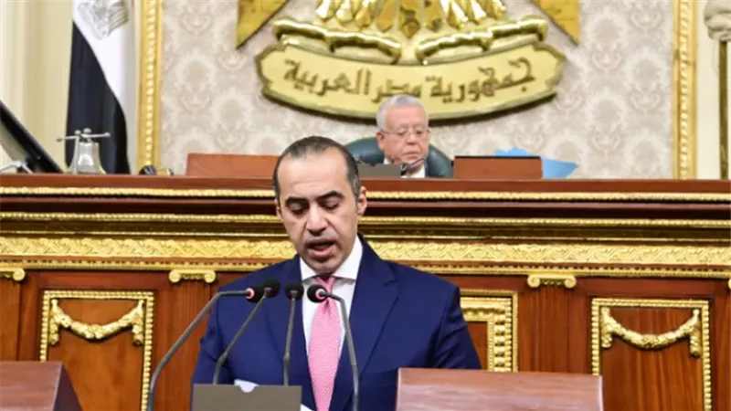 المستشار محمود فوزي