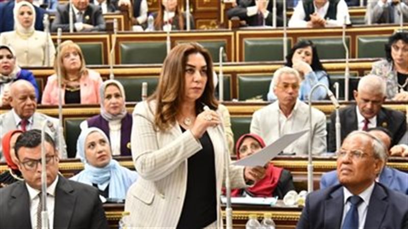 وزيرة التنمية المحلية،