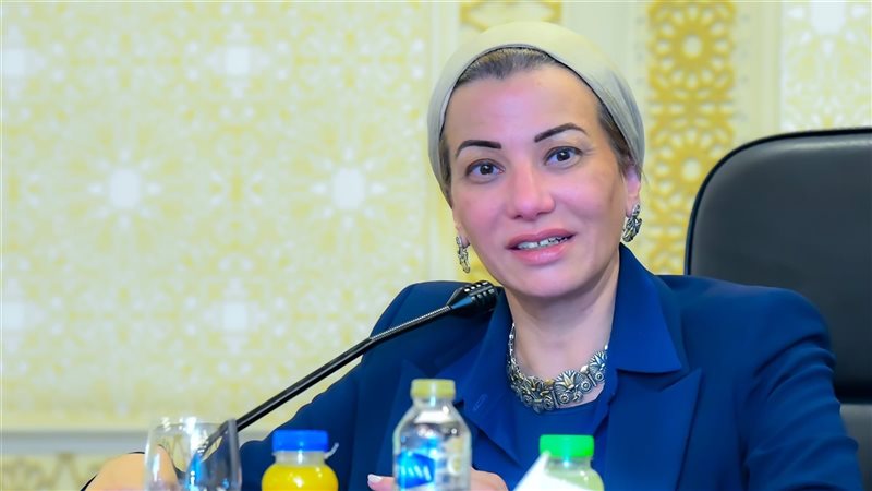 الدكتورة ياسمين فؤاد