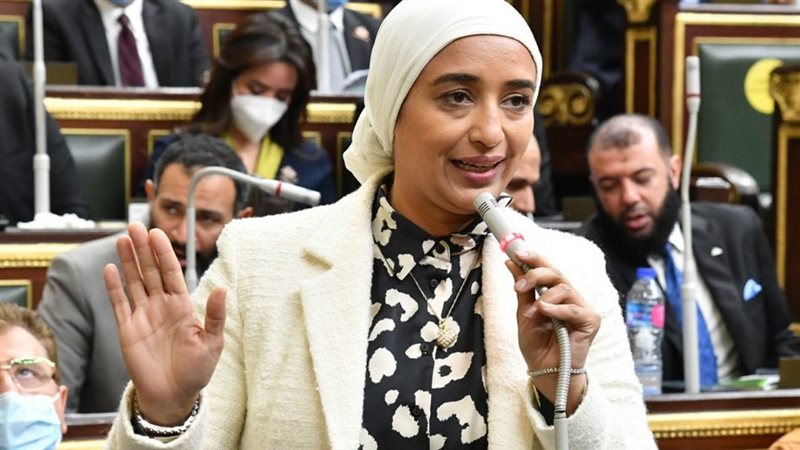 النائبة أميرة أبوشقة