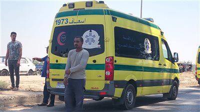 مصرع لص وإصابة آخر في حادث مأساوي بعد سرقة حقيبة في الجيزة